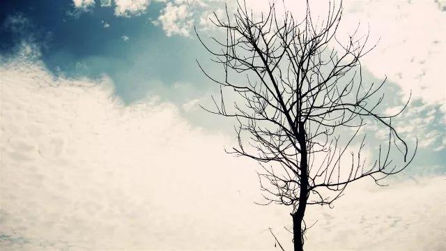 热点 第54页